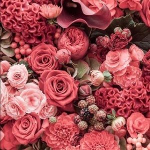 Meet your Posher, Isabel